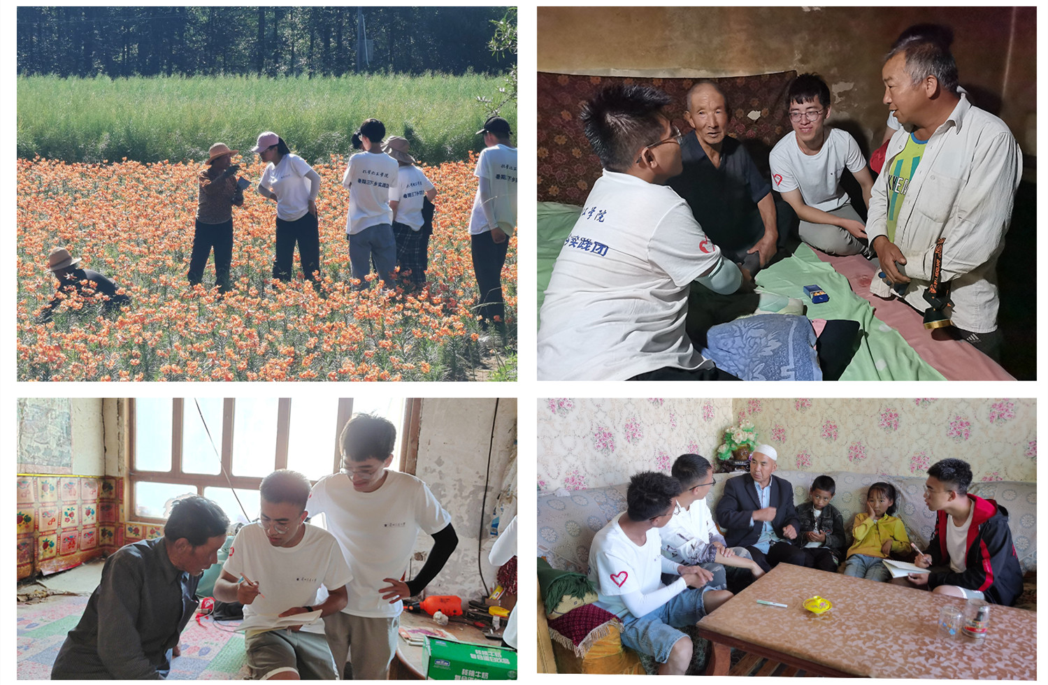 2021年兰州交通大学暑期“三下乡”社会实践风采展示（三）——乡村振兴实践专​题