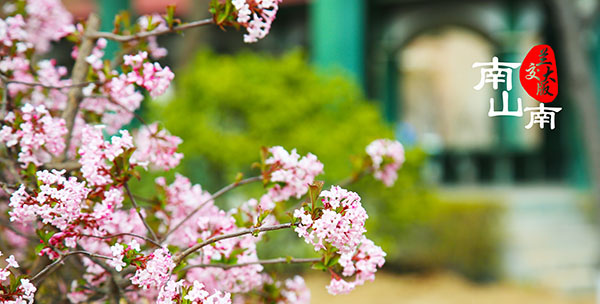 点击浏览下一页