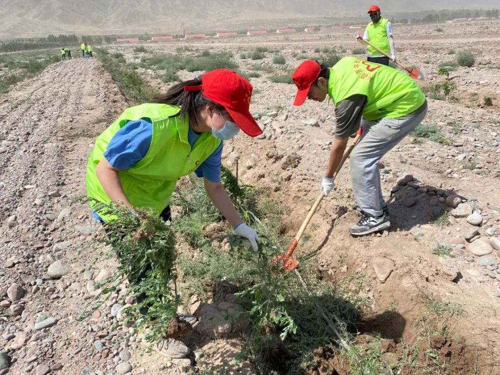 我校学子积极参加2021年暑期“返家乡”社会实践活动
