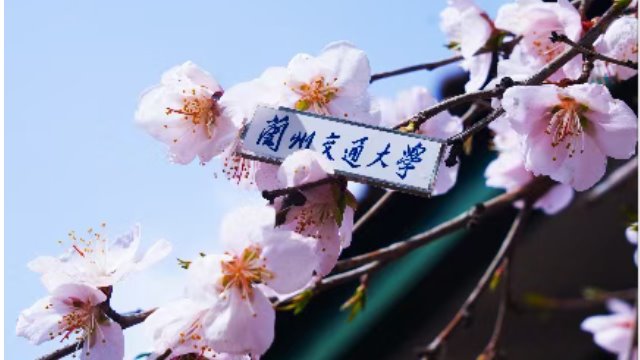 【甘肃省教育厅】甘肃何处春色最动人？在校园里→